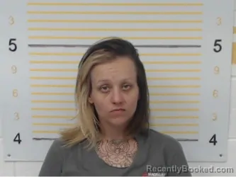 Mugshot of Toni McCarson booked in Randolph County, Illinois on April 22, 2026