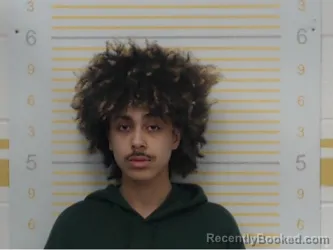 Mugshot of Tony Newgent