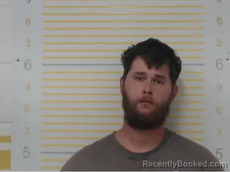 Mugshot of Brandon Pegg
