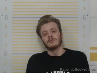 Mugshot of Dylan Sellers