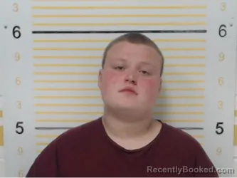 Mugshot of Dale Tieman booked in Randolph County, Illinois on April 19, 2026