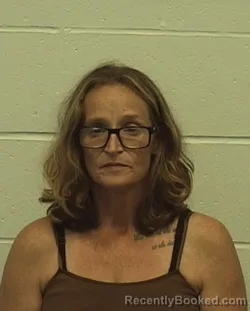 Mugshot of MELISSA L MULLINS booked in Richland County, Illinois on July 12, 2026