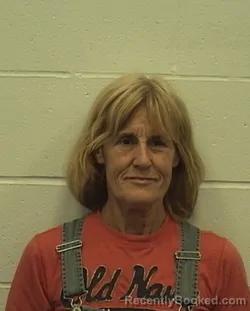 Mugshot of MARY L JONES booked in Richland County, Illinois on June 5, 2026