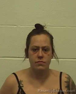 Mugshot of SAMANTHA L SIMPSON booked in Richland County, Illinois on June 22, 2026