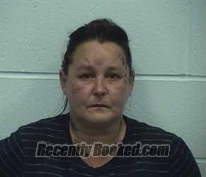 Mugshot of AMANDA M ELKINS booked in Richland County, Illinois on August 4, 2026