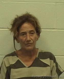 Mugshot of MARY D PHILLIPS booked in Richland County, Illinois on July 11, 2026