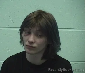 Mugshot of SAMANTHA M SANDERS