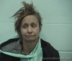 Mugshot of LAESA J WELLS