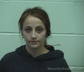 Mugshot of BRIANNA P IRELAND booked in Richland County, Illinois on April 20, 2026