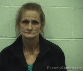 Mugshot of DEBORAH R LIVINGSTON booked in Richland County, Illinois on April 27, 2026