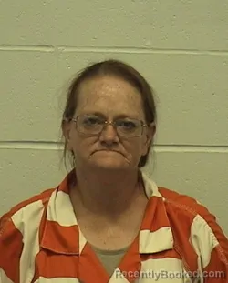 Mugshot of GINA M HEDGE booked in Richland County, Illinois on July 2, 2026