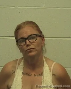 Mugshot of CASSANDRA L ALLISON booked in Richland County, Illinois on July 3, 2026