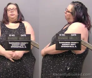 Booking photo from Sangamon County, Illinois