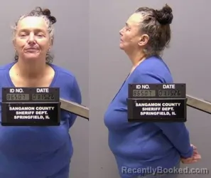 Mugshot of Joyce Ann Stuebinger