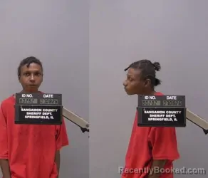 Mugshot of FREDA ANN FERGUSON booked in Sangamon County, Illinois on July 8, 2026