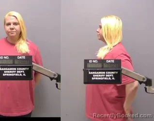 Booking photo from Sangamon County, Illinois