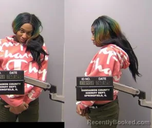 Mugshot of Teveta Quwave Drew