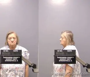 Booking photo from Sangamon County, Illinois