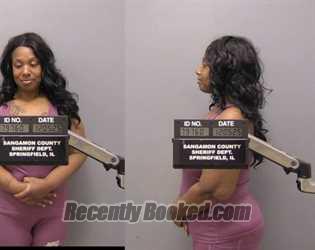 Booking photo from Sangamon County, Illinois