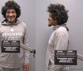 Mugshot of MARK A WILEY