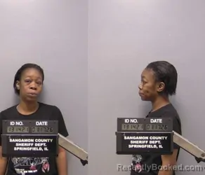 Mugshot of VIRGINIA N RODRIGUEZ