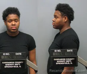 Mugshot of Toni Renee Washington booked in Sangamon County, Illinois on March 22, 2026