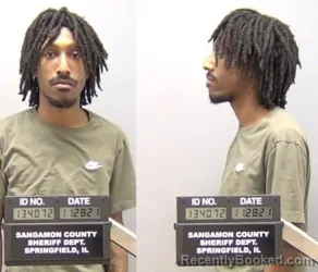 Mugshot of DARION N JAMES booked in Sangamon County, Illinois on March 16, 2026