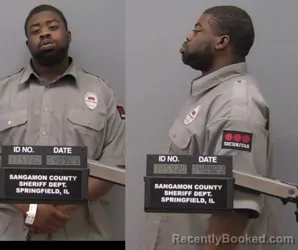 Mugshot of DEMETRIUS D YOUNG booked in Sangamon County, Illinois on March 17, 2026