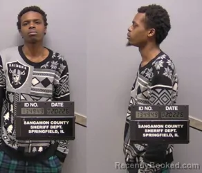 Mugshot of Deshaun T Whiteside