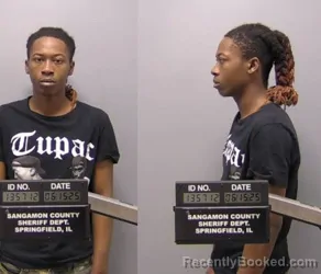 Mugshot of Stepheon Michael Sims