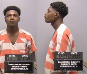 Mugshot of Drearion L Neal