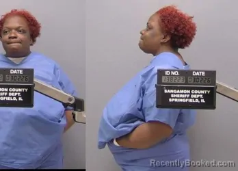 Mugshot of Pearlie M Childs