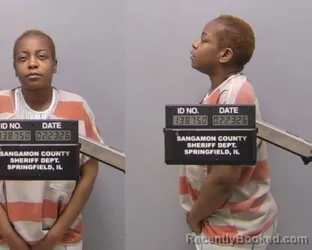 Mugshot of Ashley S Irving