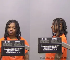 Mugshot of Shayaire Savanna Nelson booked in Sangamon County, Illinois on March 25, 2026