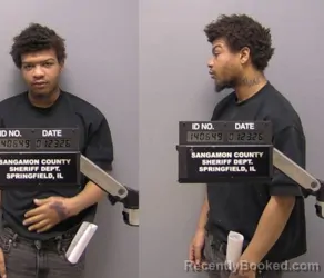 Mugshot of Sanquinton Mykangelo Standley