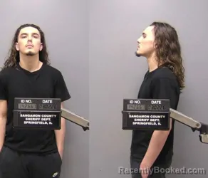 Booking photo from Sangamon County, Illinois