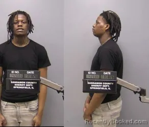 Mugshot of Christopher E Malone booked in Sangamon County, Illinois on March 8, 2026