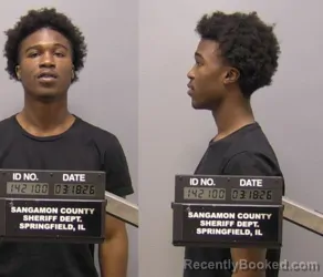 Mugshot of David Lee McCullum booked in Sangamon County, Illinois on March 18, 2026