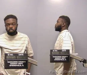 Mugshot of Demetrian R Fenn