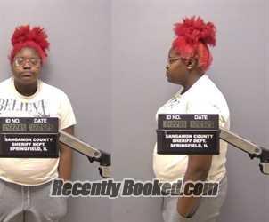 Booking photo from Sangamon County, Illinois