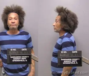 Mugshot of BRIAN A PARKER