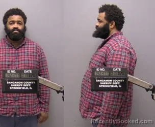 Mugshot of BRIAN M JOHNSON