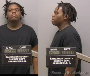 Mugshot of TANAIL E SIMS booked in Sangamon County, Illinois on March 22, 2026