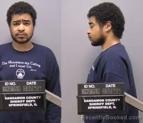 Mugshot of HILLEL A RABIN booked in Sangamon County, Illinois on March 25, 2026