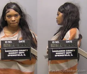 Mugshot of BROOKLYN F CLARK booked in Sangamon County, Illinois on March 29, 2026