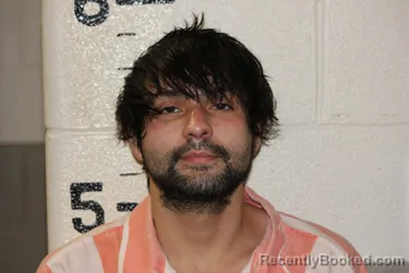 Mugshot of MATEO SWAN