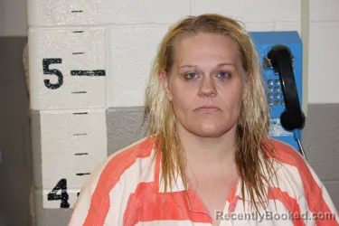 Mugshot of KIMBERLY BRINEY