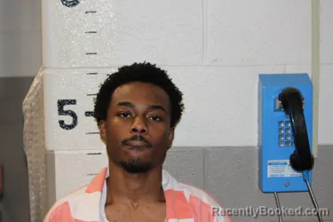 Mugshot of MEBAHEL AMEGANVI