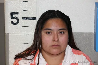 Mugshot of MANUELA FIZ