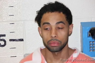 Mugshot of AARON DAY